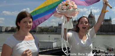 Opposition could force through gay marriage bill