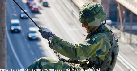 Swedish army to be cut by one third
