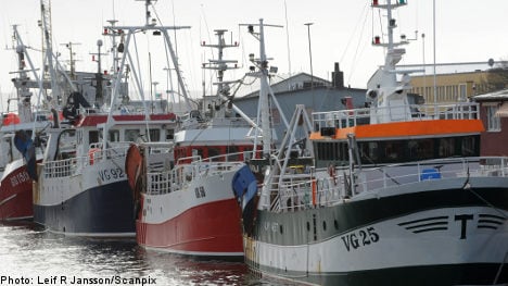 Sweden loses battle over Baltic fishing quotas