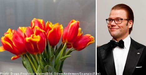 New tulip named after Sweden's Prince Daniel