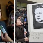 Swedish bar association raps Assange lawyer