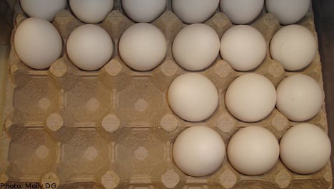 Sweden braces for EU-induced egg boom
