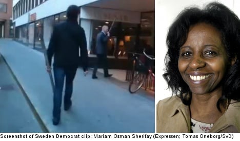 'Sweden Democrat thugs only voice what many Swedes think'
