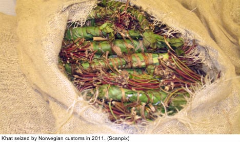 Sweden targets khat addiction with new clinic