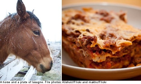 Horsemeat lasagne sent to Stockholm’s homeless