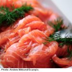 Sweden sells toxic Baltic salmon to EU: report