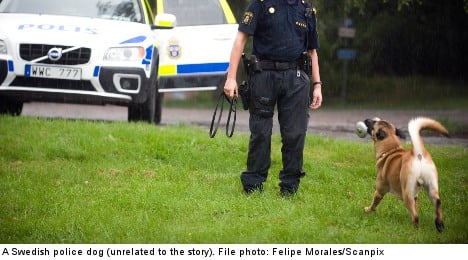 Shock as policewoman beats Swedish drunk