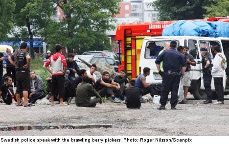 Huge berry picker brawl sends six to hospital