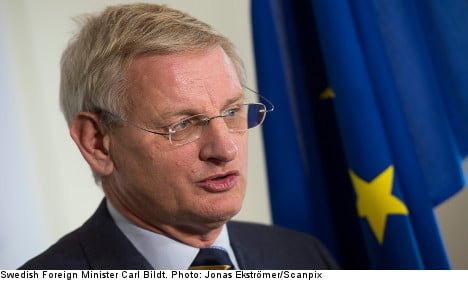 Bildt: all nations must sign chem weapons ban