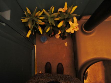 Even the port-a-potty is classy, if adding a few potted plants is enough of a distraction for you.Photo: Katie Dodd/The Local