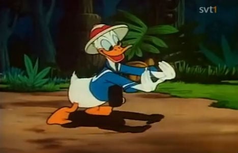 Flap off! No Donald Duck next year?