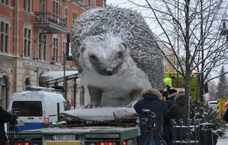 The man behind the biggest (and coolest) hedgehog in Sweden