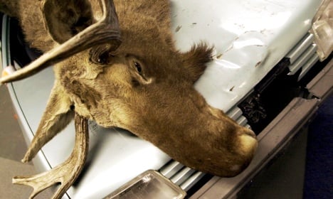Severed elk head found in local recycling bin