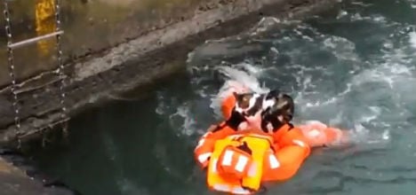 VIDEO: Cat rescued from underneath ferry