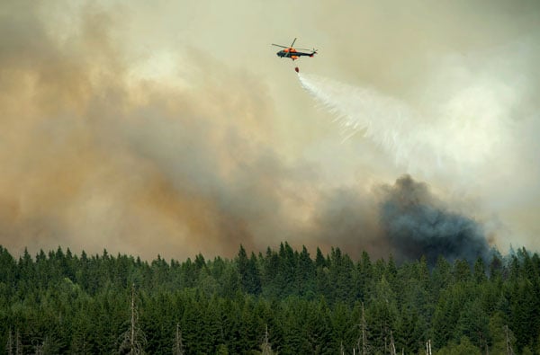 Report: mistakes made in Swedish forest fire fight
