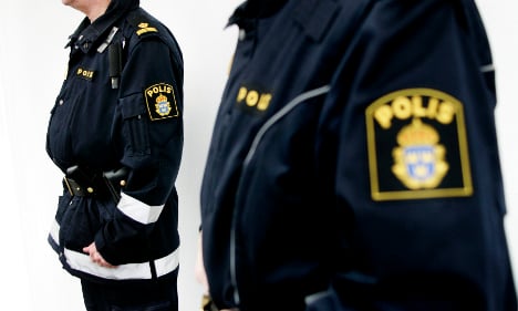 Swedish cops break up New York train fight