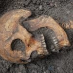 Twelve skeletons found beneath Swedish castle