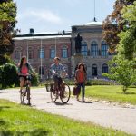 Seven tips for making firm friends in Sweden