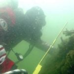 Divers find 17th-century Swedish warship