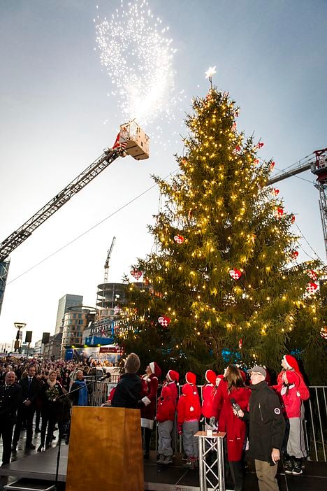 Copenhagen's Christmas tree. Photo: Simon Skipper/Scanpix