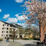 Stockholm housing: ‘Be open to discovering the city’