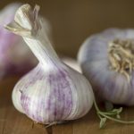 British duo cleared in bizarre Nordic garlic smuggling case
