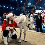 Swede proves you can teach a reindeer new tricks