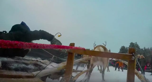 Video: This is what it's like to race reindeer