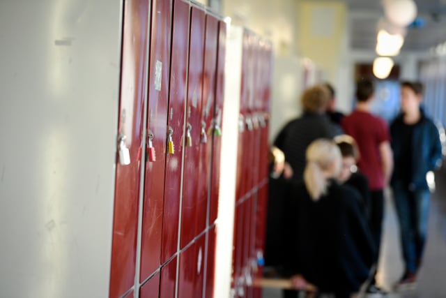 School watchdog probes teacher over Nazi allegations