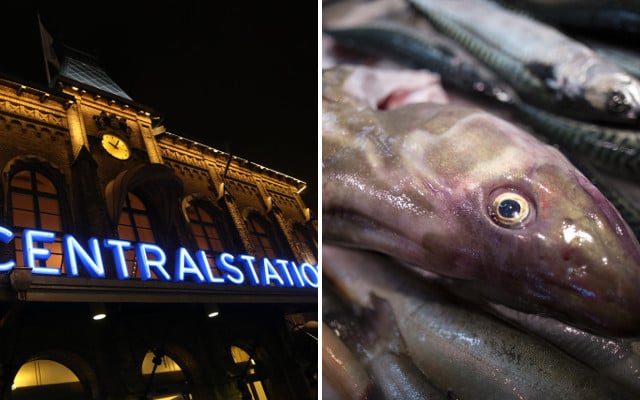Gothenburg ‘bomb’ turned out to be pile of fish