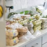 Toxic eggs found in Germany, Netherlands also reached Sweden