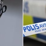 Relative 'used scissors to stab victim's neck' in suspected honour killing in Sweden