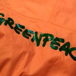 Swedish woman dies in Greenpeace plane crash