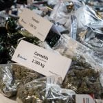 Number of cannabis users in Sweden hits all-time high