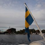 Members' forum: Why are you learning Swedish?