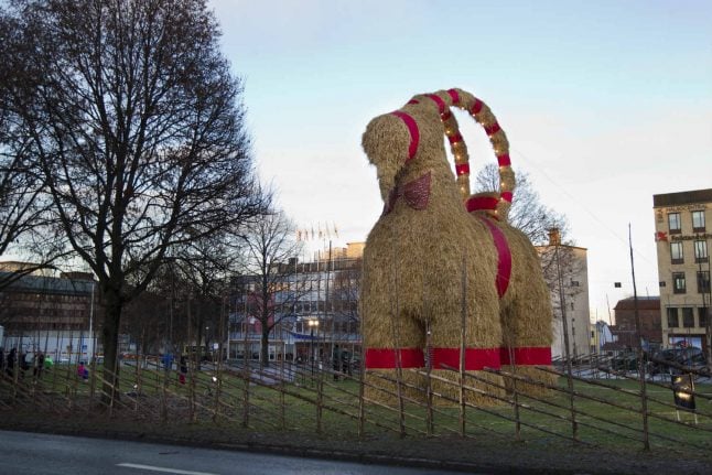 Sweden’s Gävle Christmas goat ready to return for festive season