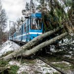 Storm Alfrida knocks out Gotland phone network (including emergency number)