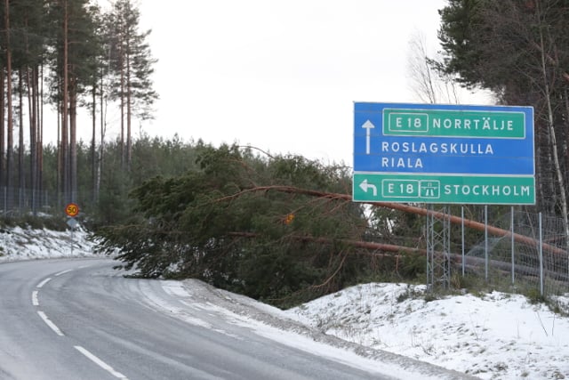 Tens of thousands still without power in Sweden after New Year’s storm