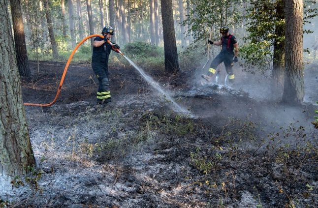 Sweden's 'chaotic' response to historic wildfires criticized