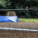 Man found stabbed in neck in popular Malmö park