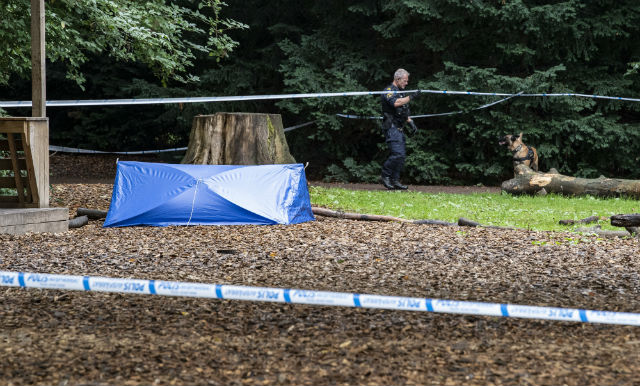 Man found stabbed in neck in popular Malmö park
