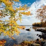 Sweden welcomes its earliest autumn in 40 years