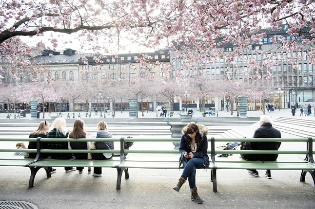 Quiz: How well do you know this Swedish springtime vocabulary?
