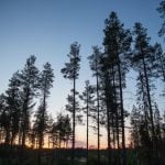 The sun won’t set in northern Sweden until July