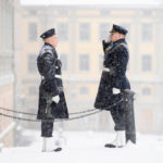 IN PICTURES: Winter scenes as snow blankets Sweden