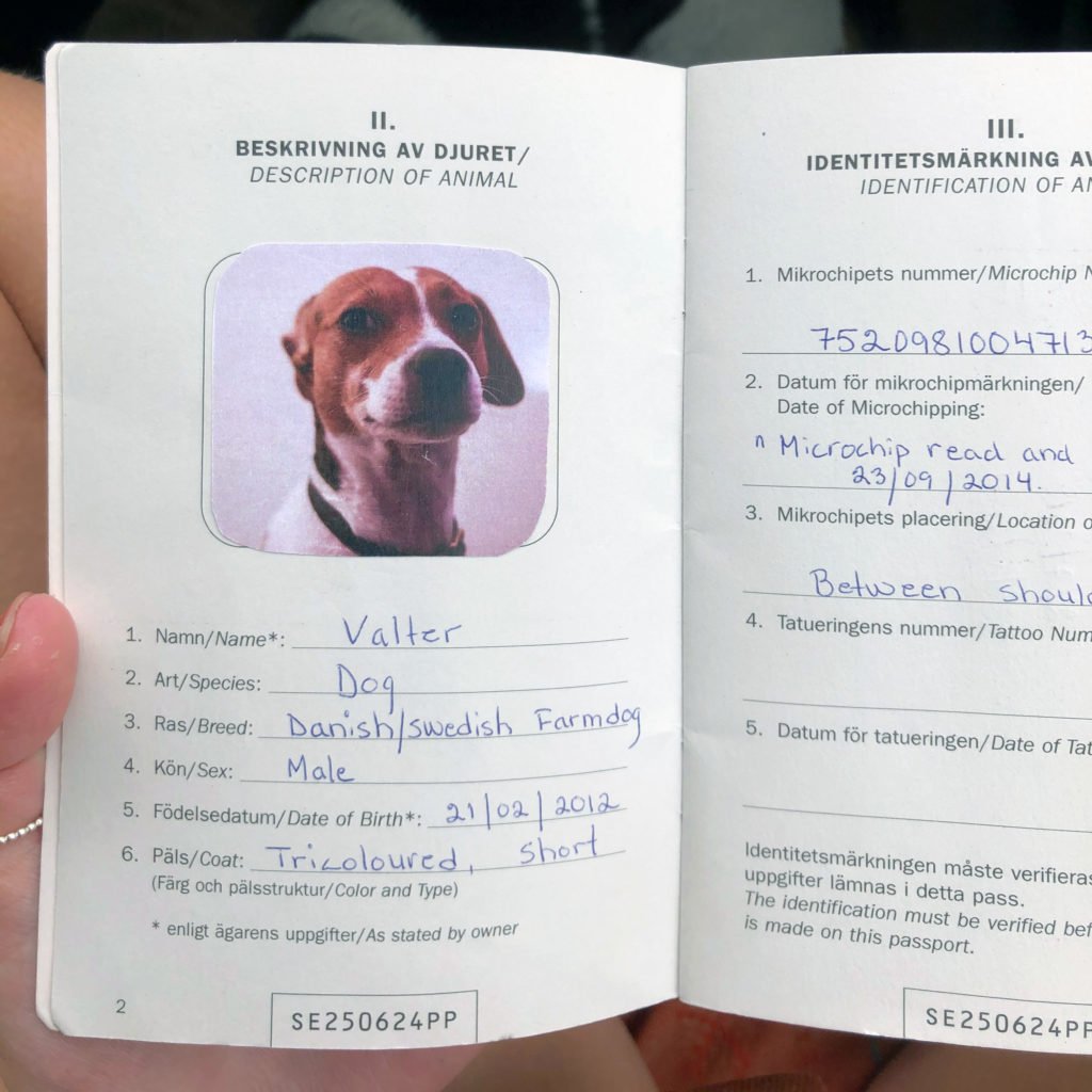 Европейский паспорт животного