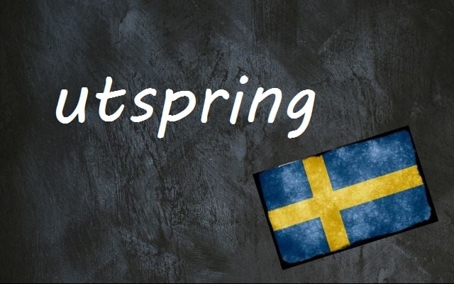 Swedish word of the day: utspring