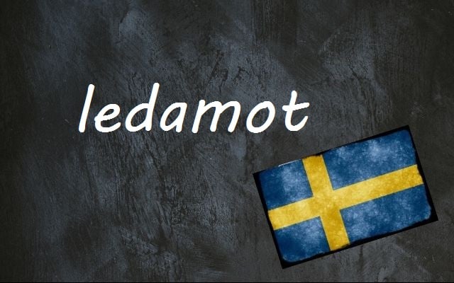 Swedish word of the day: ledamot