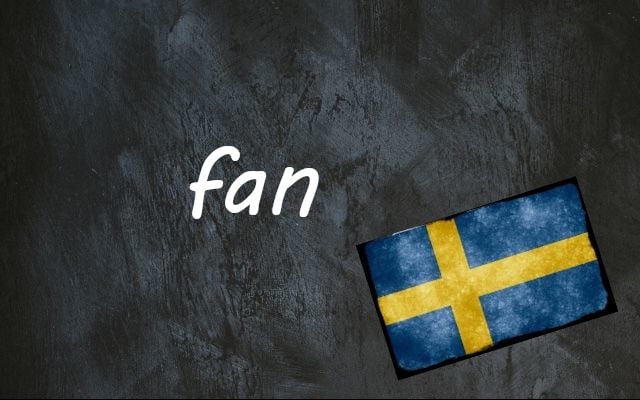 Swedish word of the day: fan