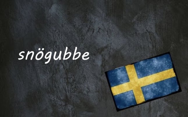 the word snögubbe on a black background beside a swedish flag